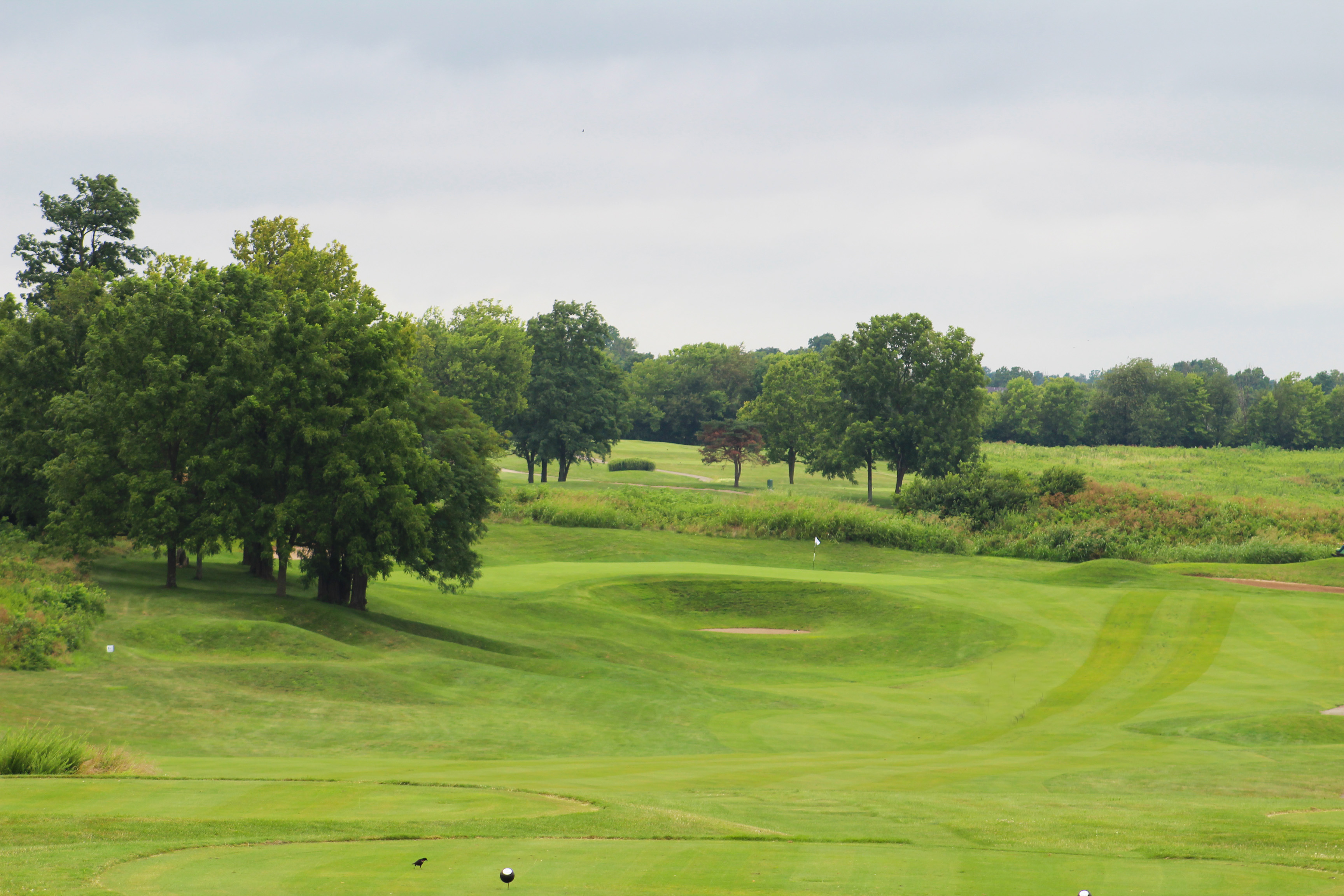 Course Preview Kearney Hill Golf Links