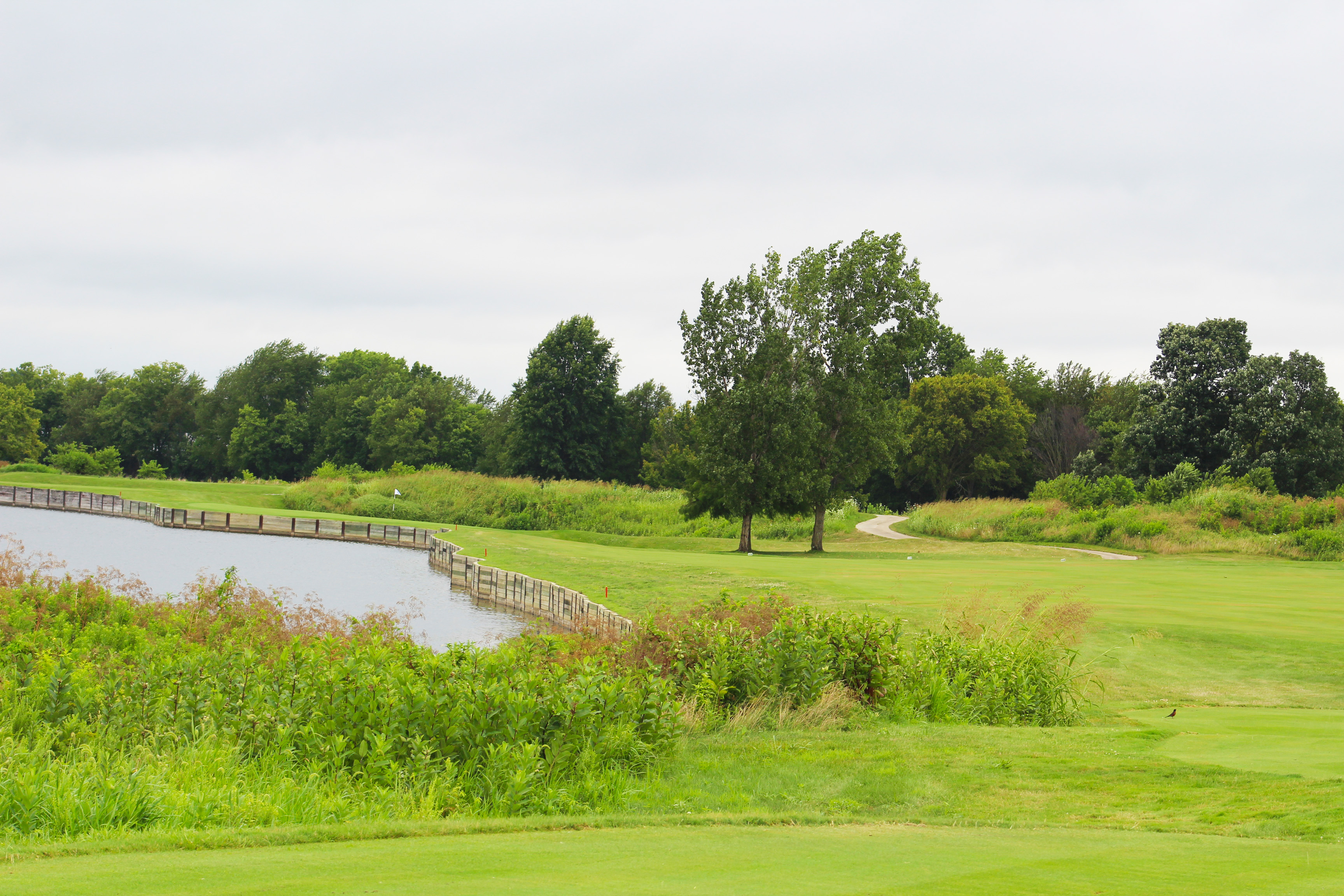 Course Preview Kearney Hill Golf Links